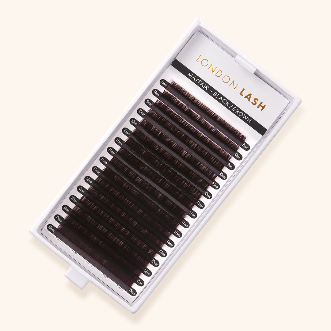 Reduced - Black/Brown Lashes
