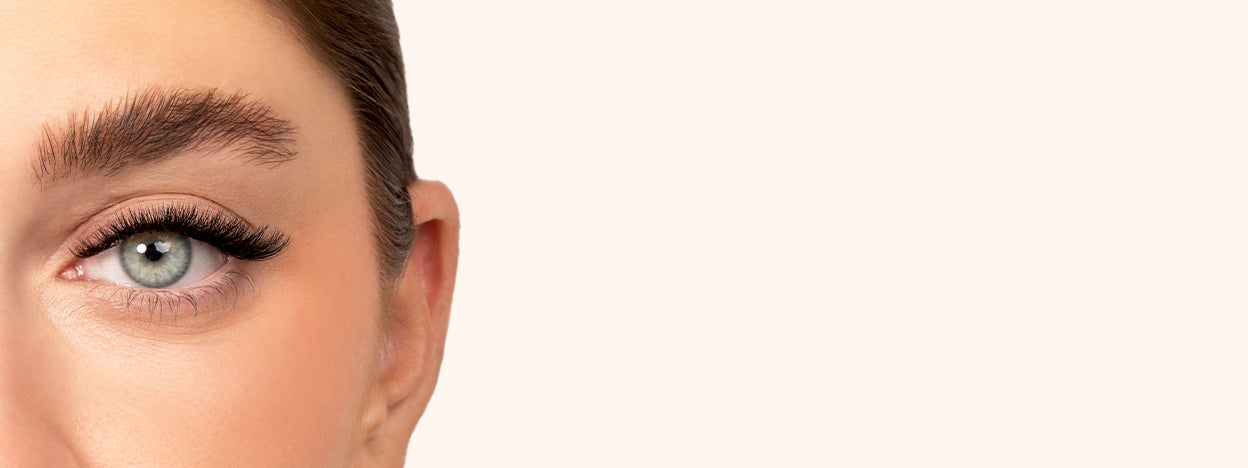 What Are Camellia Lashes with an Even Top Line? Blog Banner