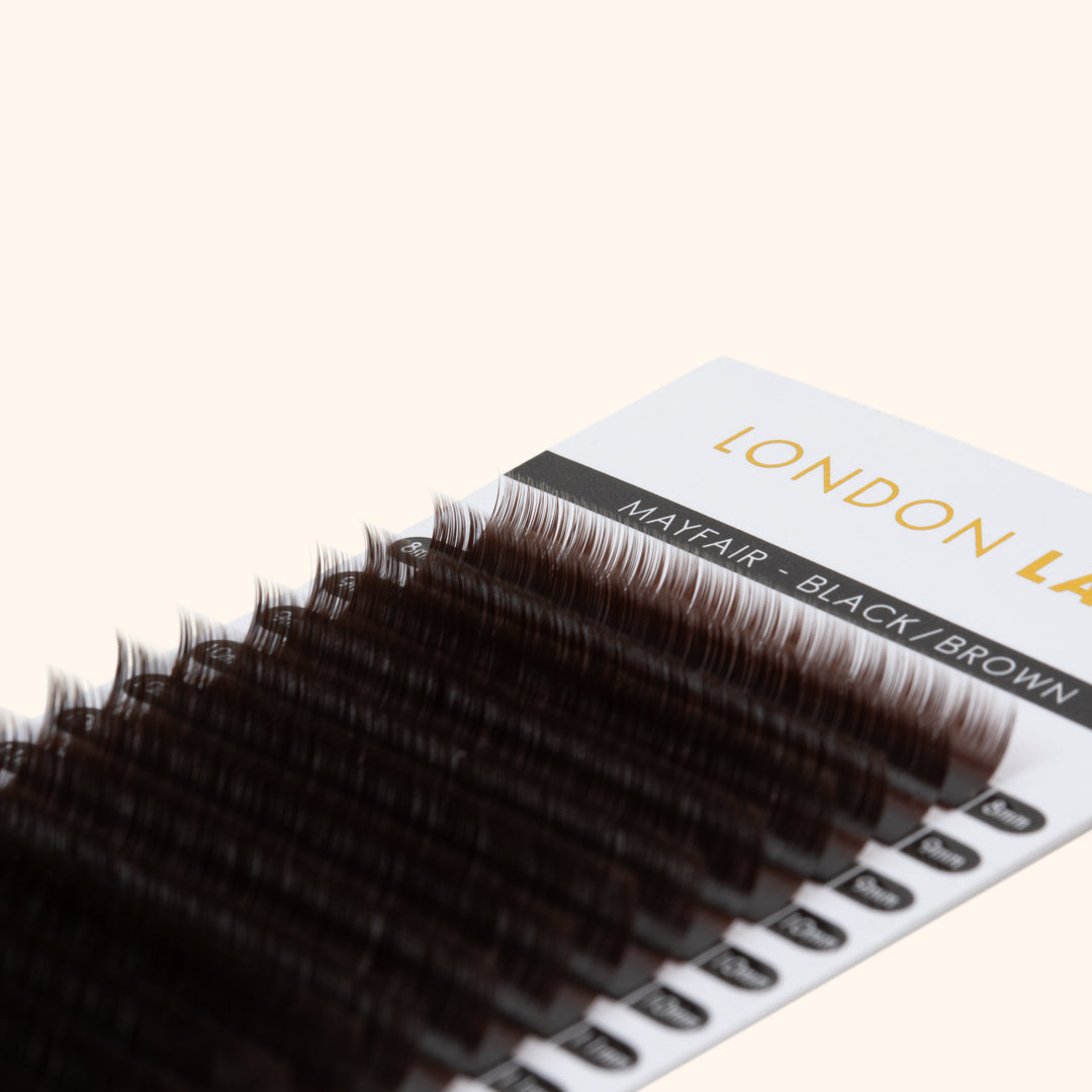Clearance - Black/Brown Lashes