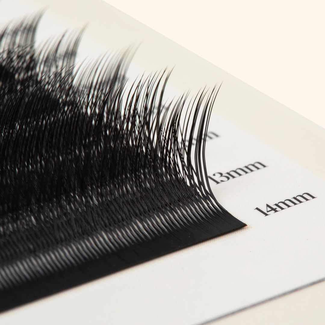 Kitten lashes, black lashes, eyelash extensions, ,lash extensions, cat eye lash extensions, cat eye eyelash extensions, 0.07 eyelash extensions, 0.07 lash extensions 