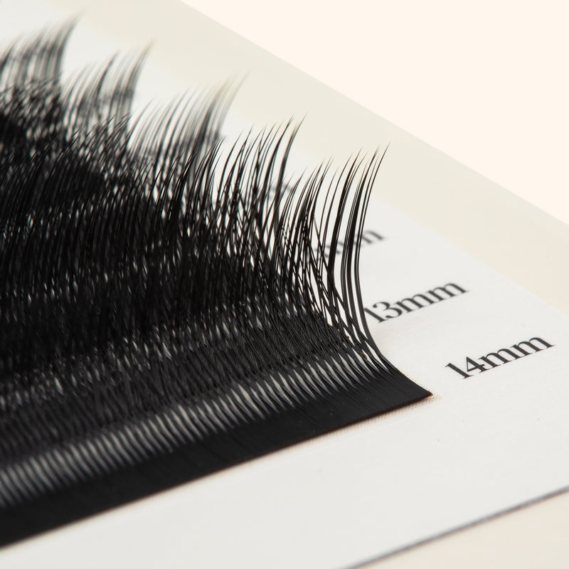 Kitten lashes, black lashes, eyelash extensions, ,lash extensions, cat eye lash extensions, cat eye eyelash extensions, 0.07 eyelash extensions, 0.07 lash extensions 