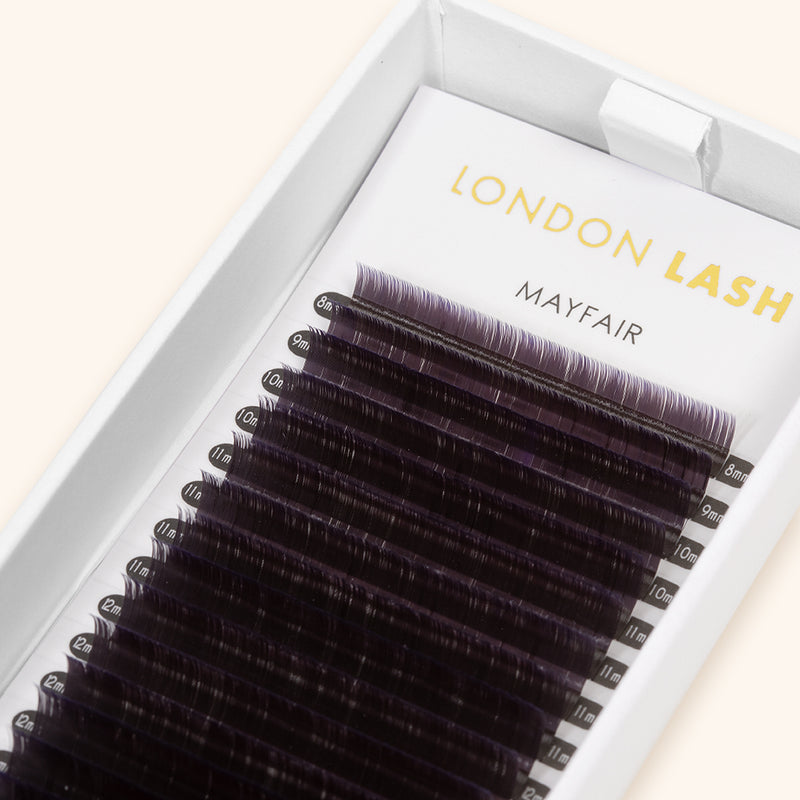 violet two-tone ombre coloured volume lashes, best violet coloured eyelash extensions, best violet two-tone ombre coloured volume lash extensions, best violet two-tone ombre coloured volume lashes, best ombre coloured volume eyelash extensions, best ombre