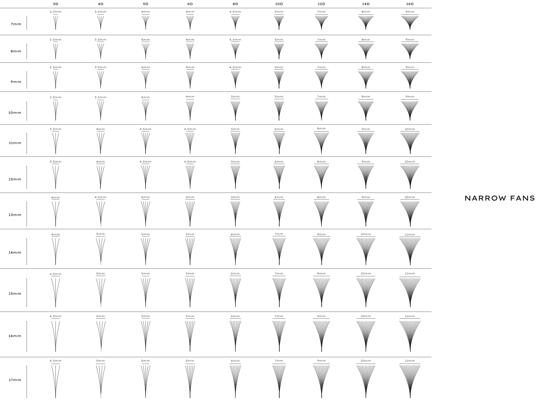 a table showing different lash fans from 3D to 16D