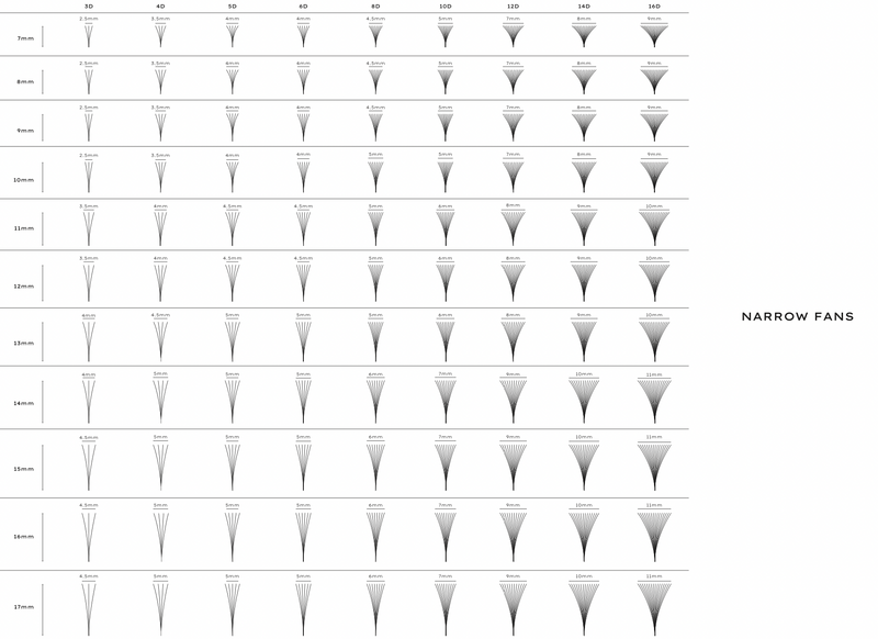 a table showing different lash fans from 3D to 16D