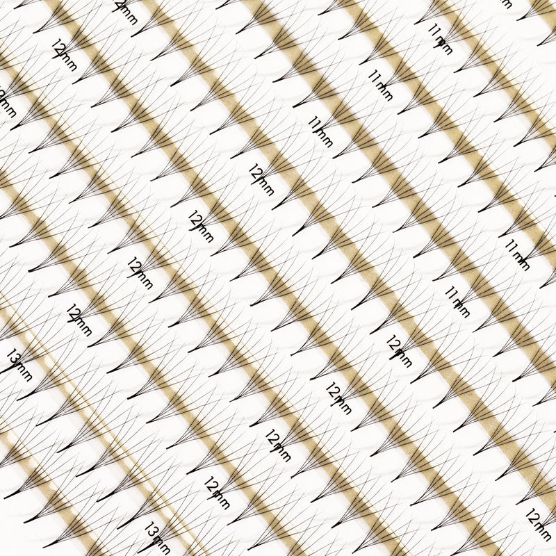 Best Premade Lash Fans Mayfair 5D 0.06 600 fans - Mix Tray, Best Premade Eyelash Extensions 